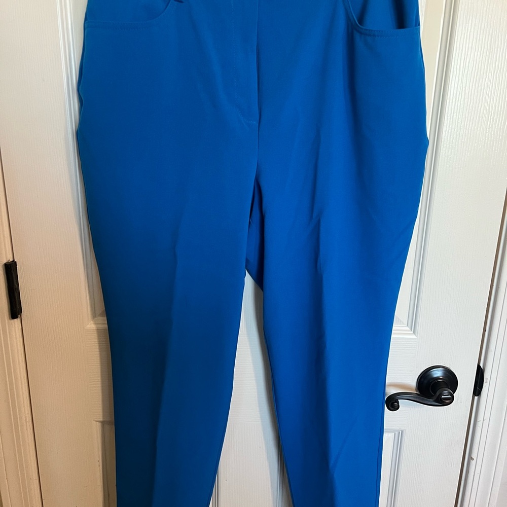 New York & Company Vibrant Blue Straight Leg Pants